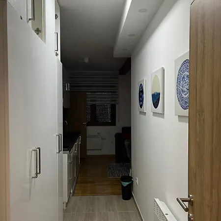 Dolce 兹拉蒂博尔